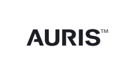 Auris Robotics, Revenue Inc. - Sales & Marketing